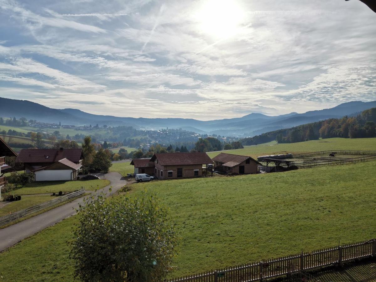 Pension Engelshütt Exterior foto
